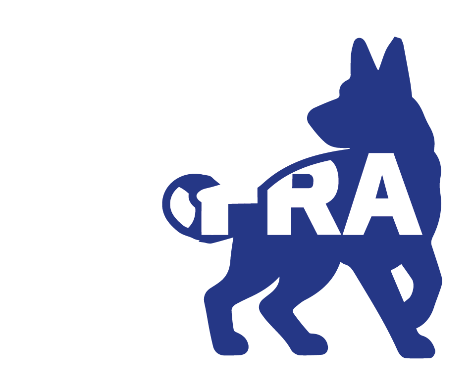 Young man with dark hair and beard, brown eyes, blue t-shirt