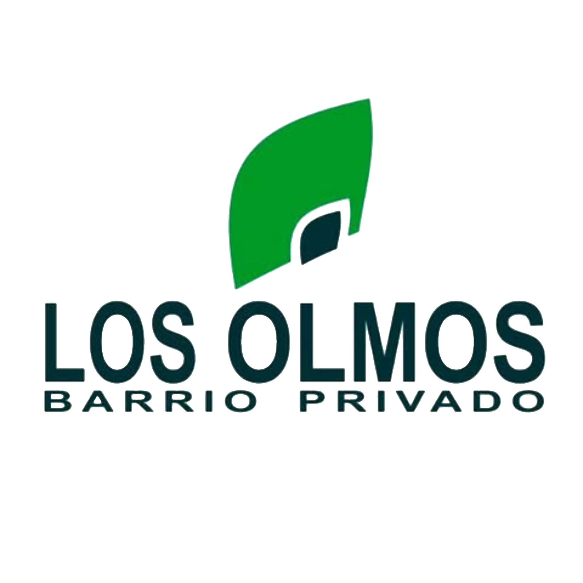 young boy sitting in barbers chair